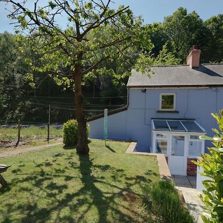 Lilac Cottage Parkend Esterno foto