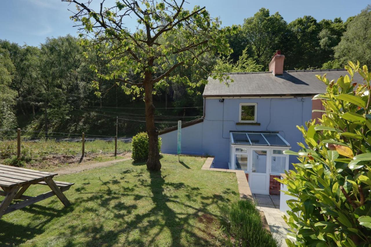 Lilac Cottage Parkend Esterno foto