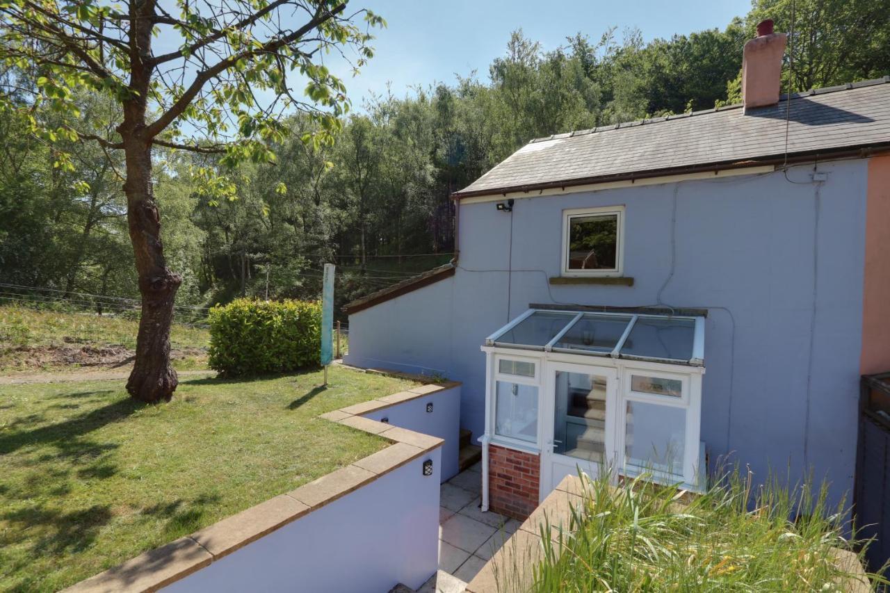 Lilac Cottage Parkend Esterno foto